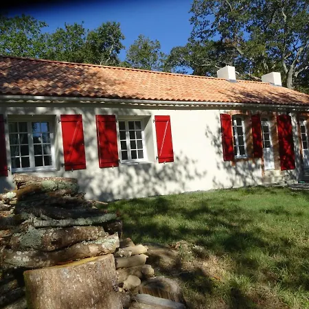 Renovation Proche Et *